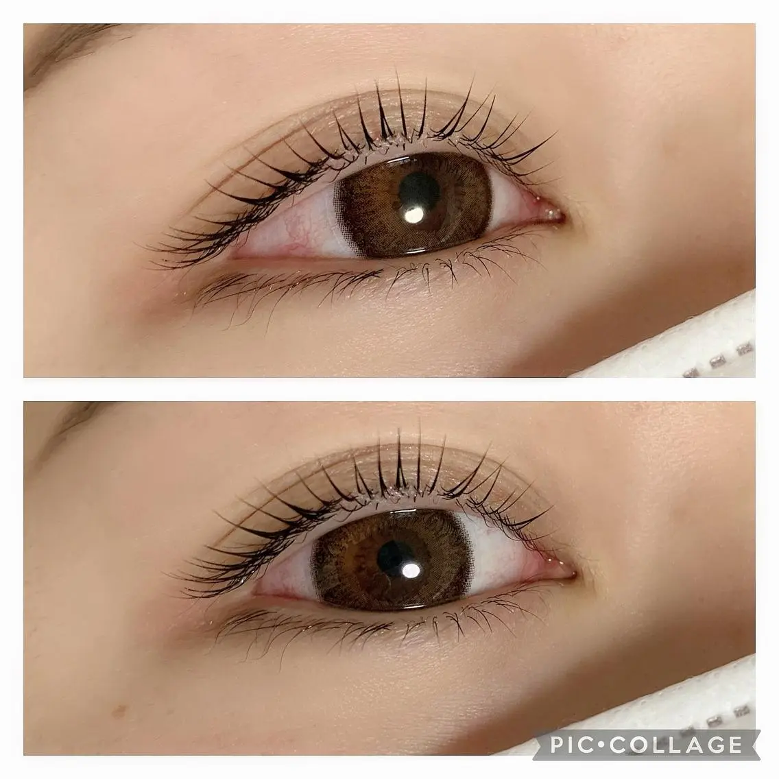 人気No. 1✨ラッシュリフトの写真