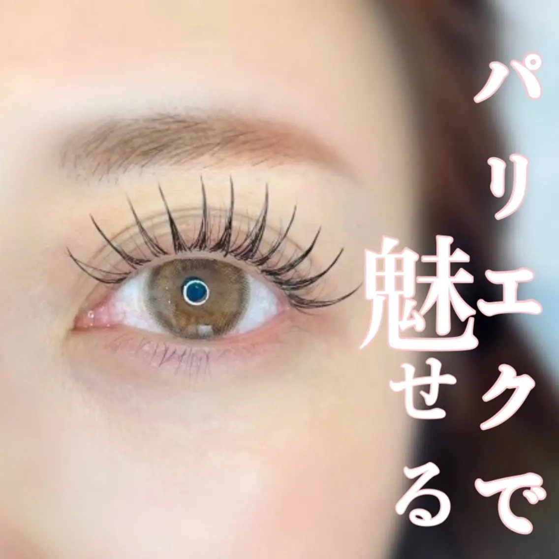 【パリエク100​〜​120本】の写真