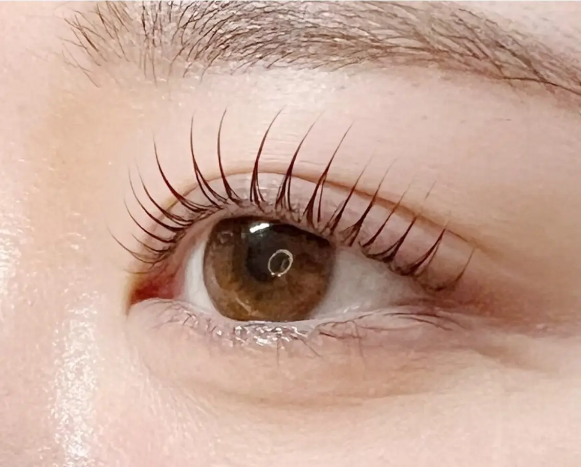 まつ毛パーマ➕下まつ毛 (上下のメニューです)👀✨️の写真