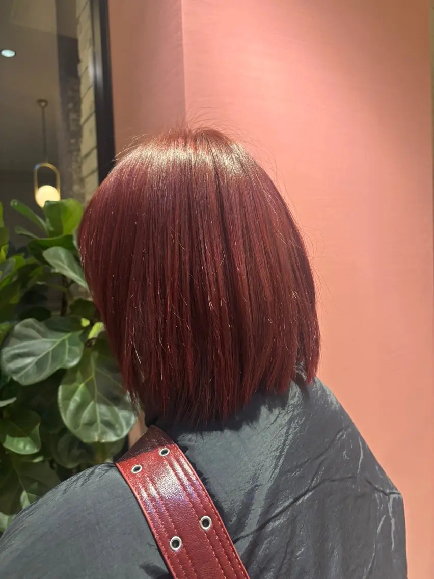 カラー 白井 花穂のヘアスタイル