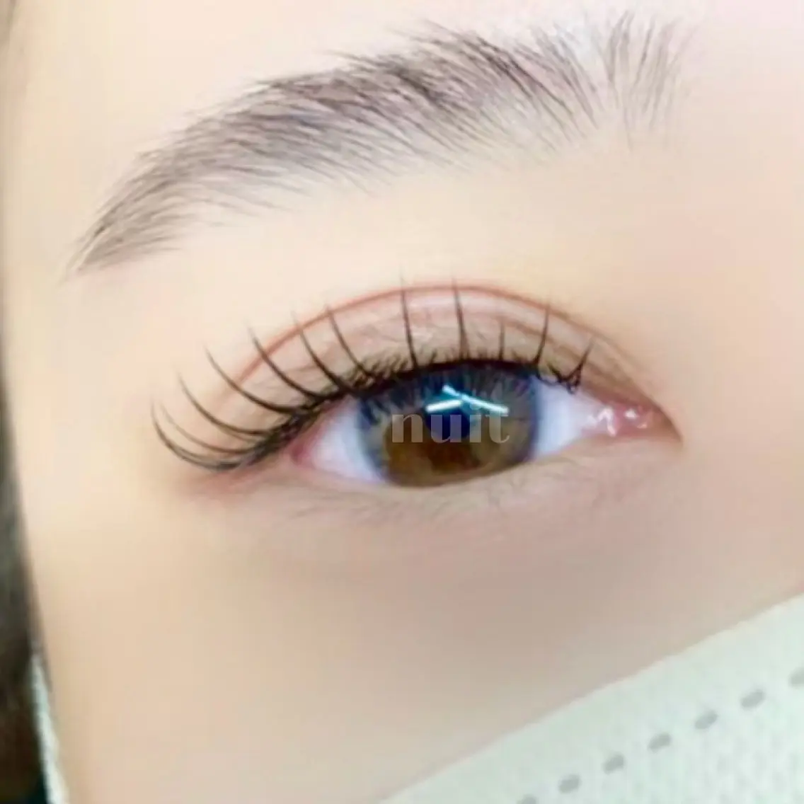 【条件有】ダブルフラットラッシュ 60束｜写真モデルの写真