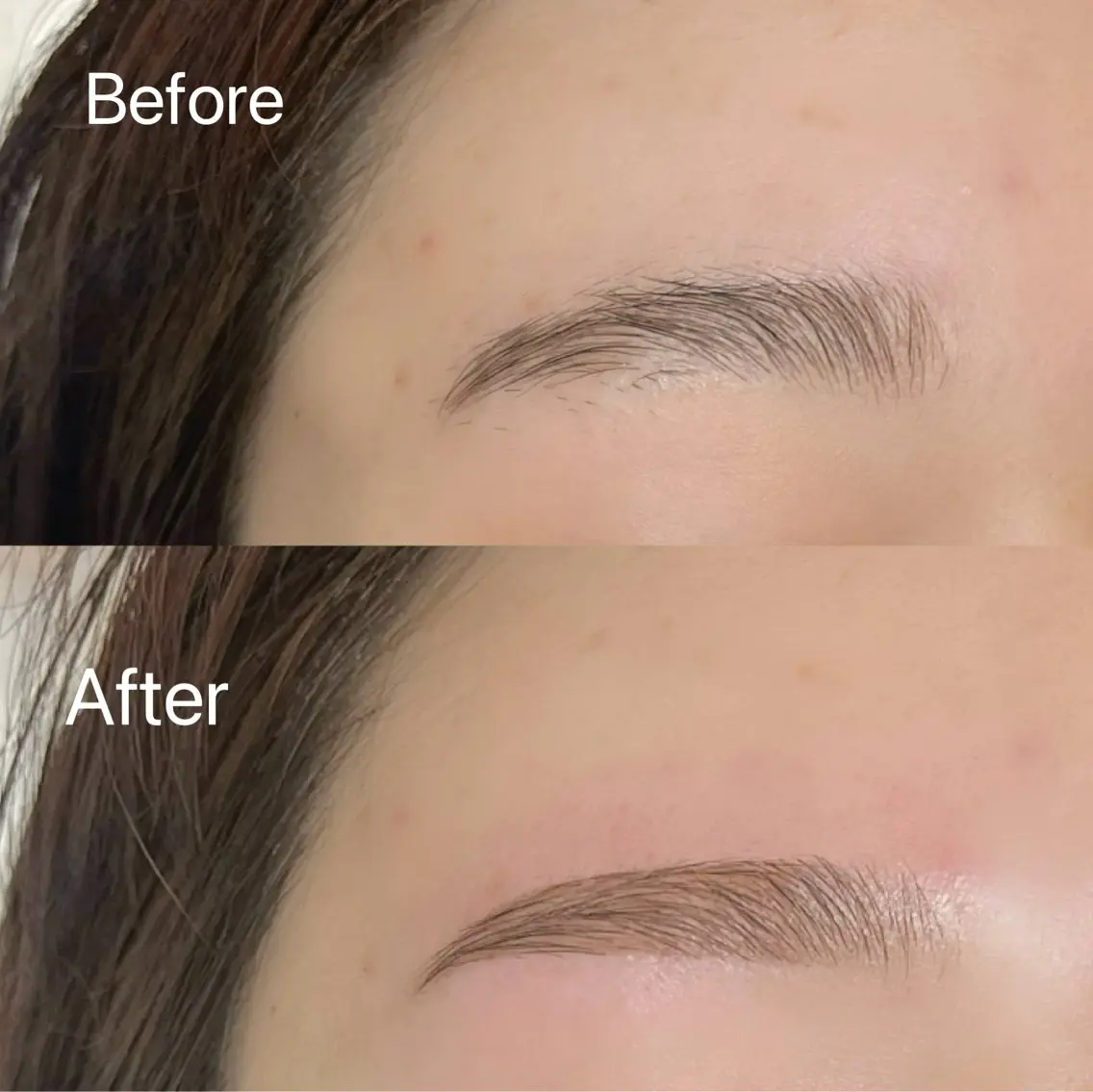 アイブロウ proof lash browの眉毛・アイブロウイメージ