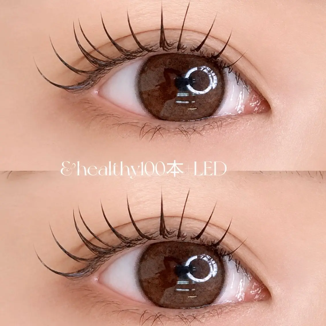 【アンドヘルシー⭐️】 LEDフラットラッシュ100本+まつげパーマの写真