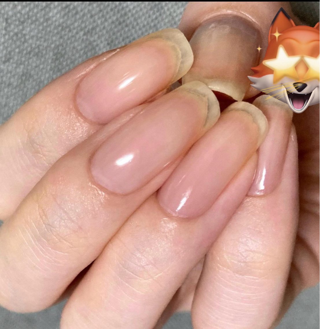 オフのみの写真
