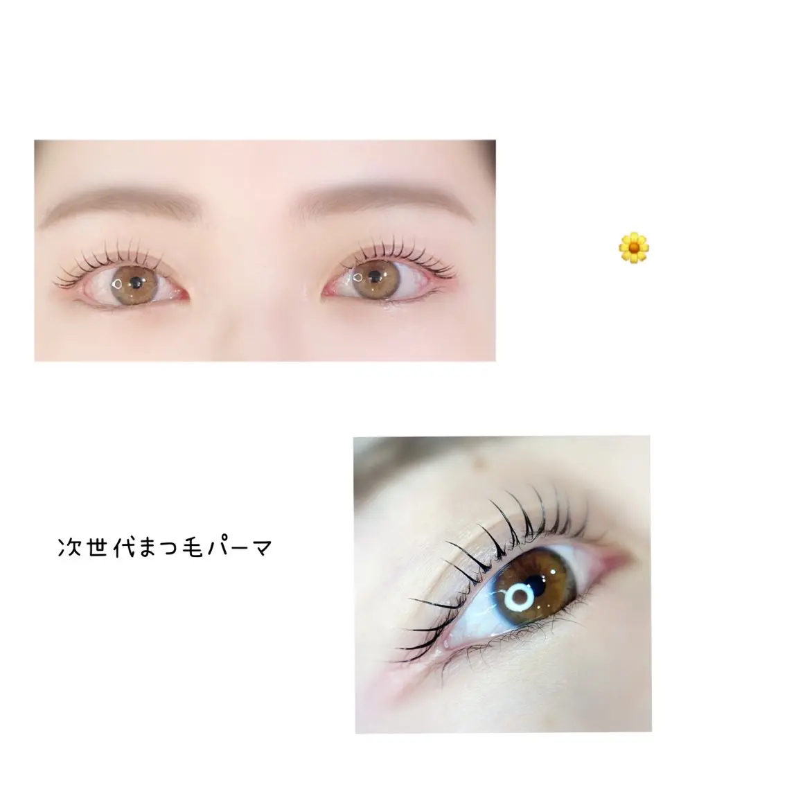マツエク・マツパ Eye Labo Swipのマツエク・マツパデザイン