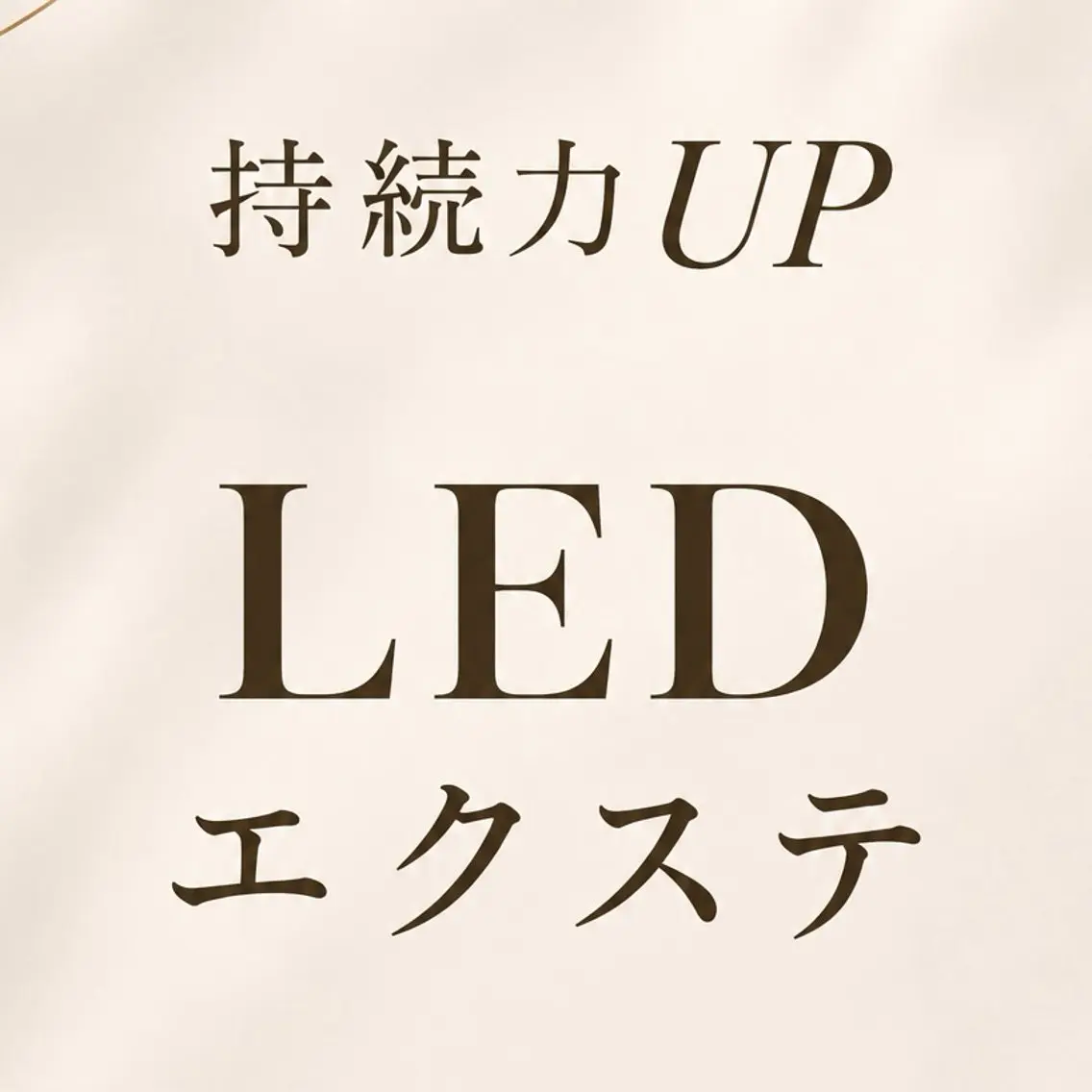 【LED】フラット100本の写真
