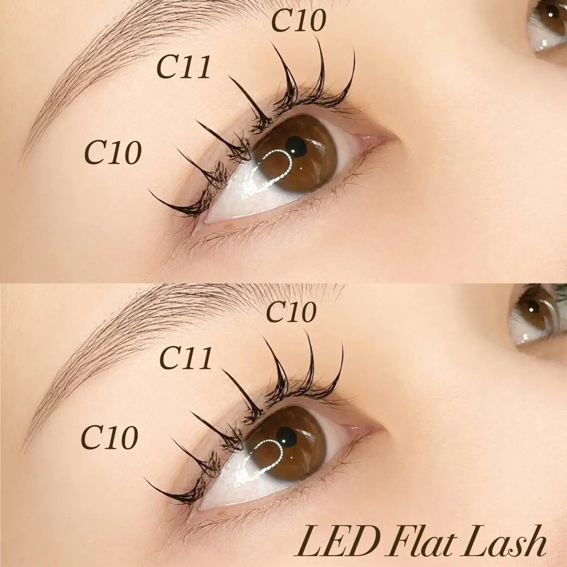 【モデル募集🌟】LEDフラットラッシュ80本👀🩷の写真