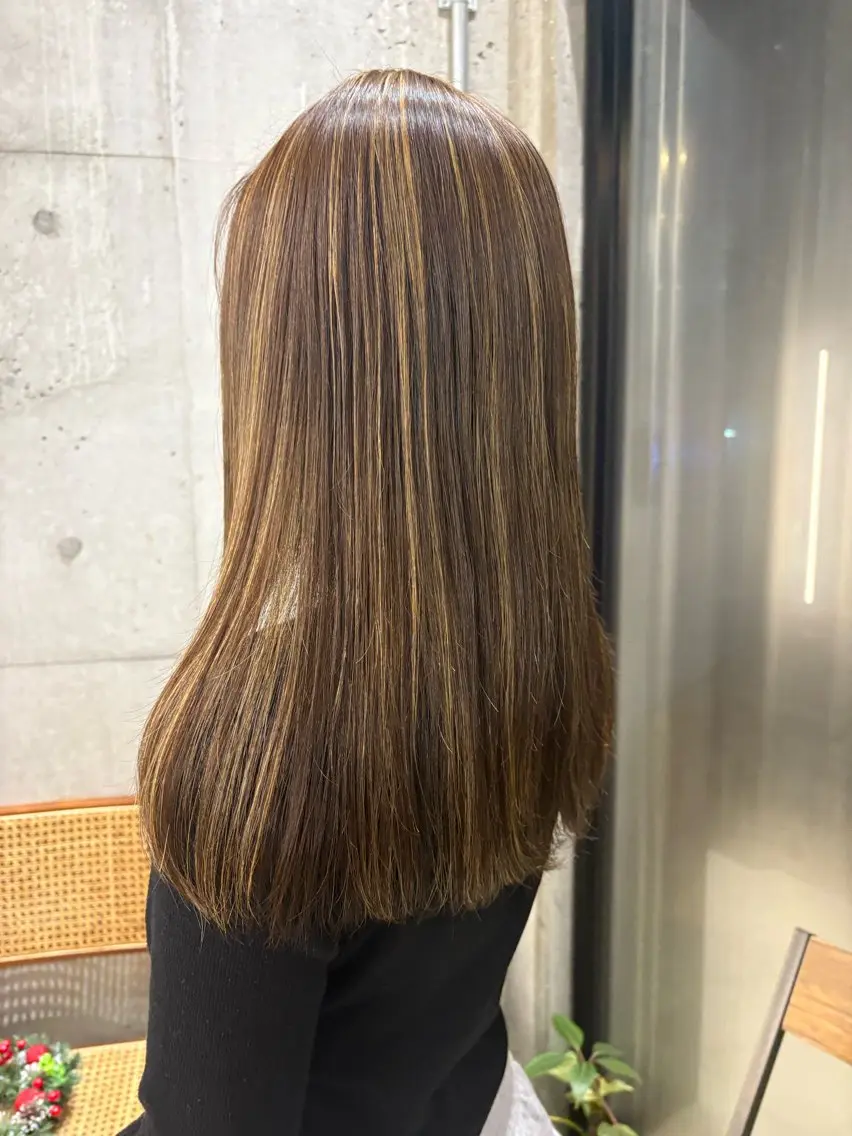 ハイライト🌱の写真