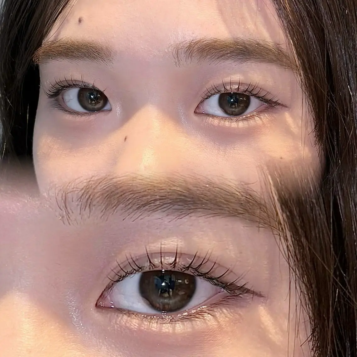パリジェンヌ/ラッシュリフトの写真