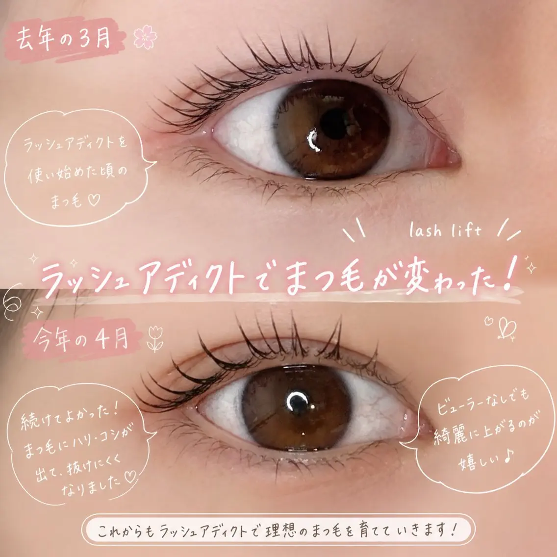 マツエク・マツパ まつげパーマ マツパ elua eyelashの眉毛・アイブロウイメージ