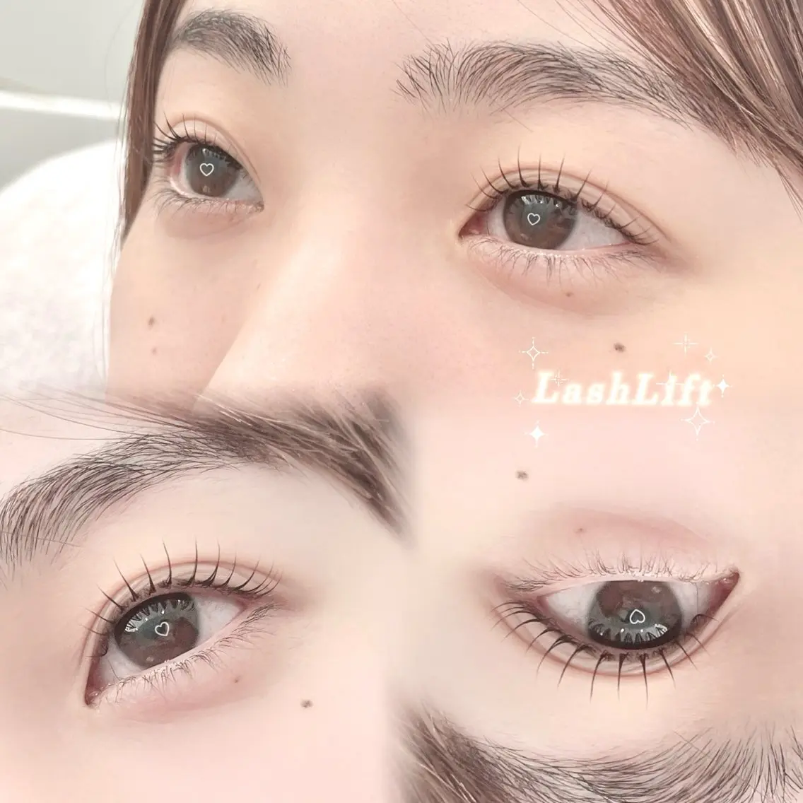 当日3名限定‼️上まつげパーマ🐶の写真