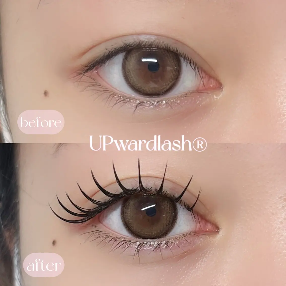 マツエク・マツパ AO. eyelashのマツエク・マツパデザイン