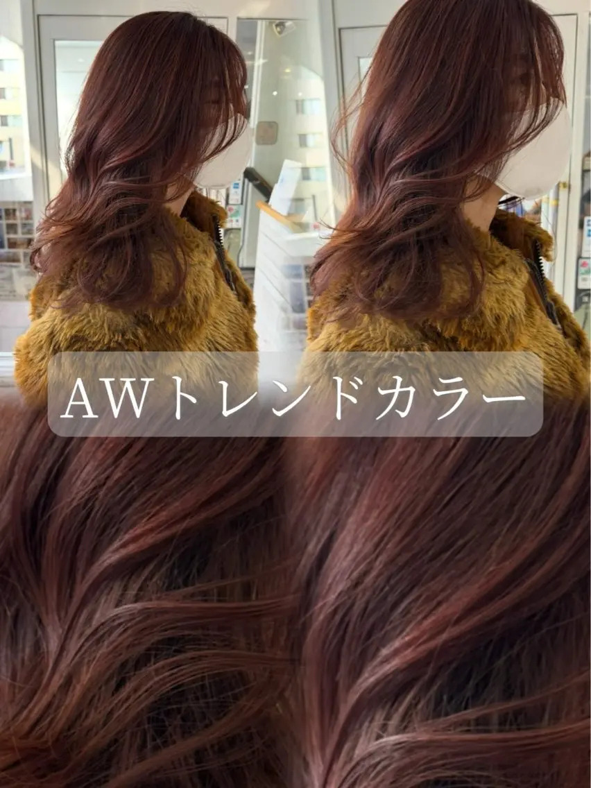 【🪸人気急上昇🪸】💎メンテナンスカット➕透明感No. 1アディクシーカラー🧊💎の写真