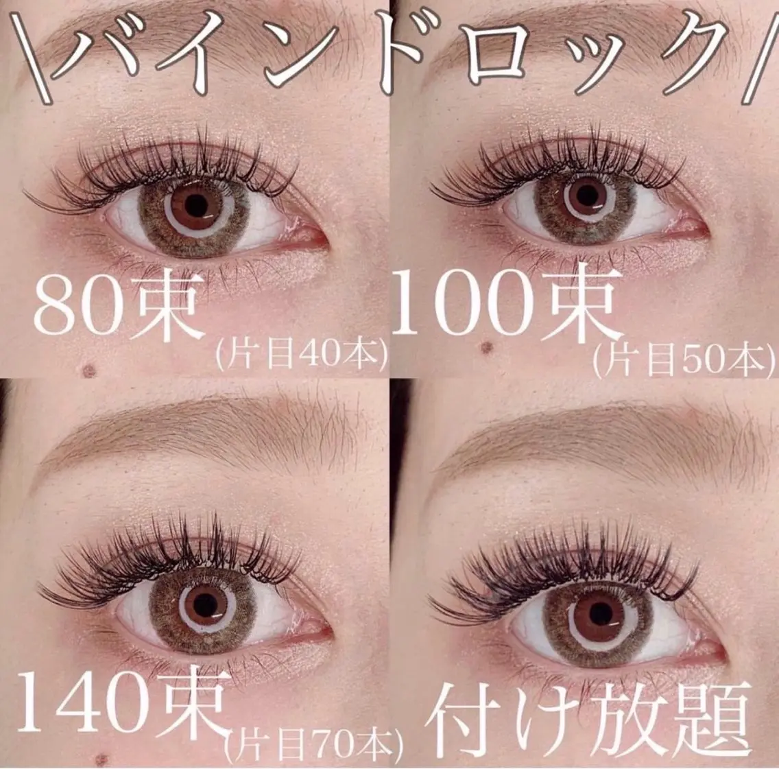 【当日限定‼️】バインドロック80束（オフなし）の写真
