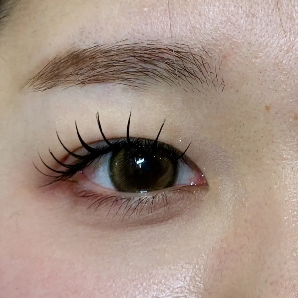 フラットラッシュ120本👀 🍀オフ込み🍀の写真
