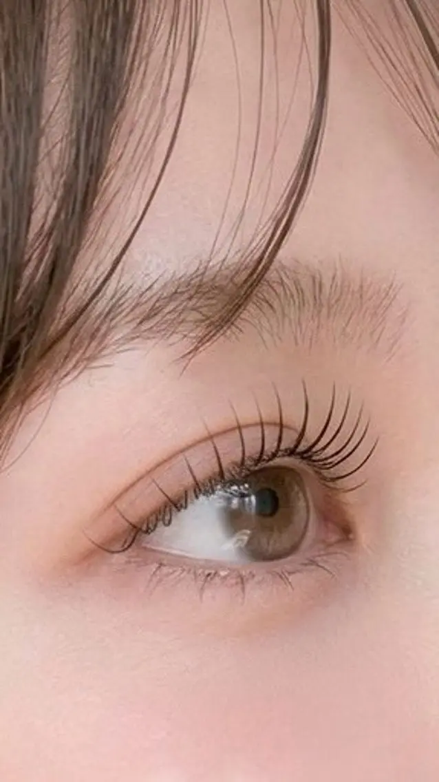 最高級フラットマットラッシュ100本の写真