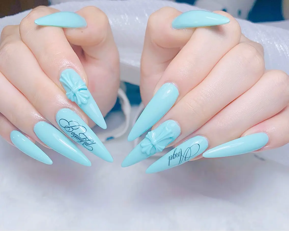 ネイル チークネイル 長さ出し フットネイル 韓国ネイル マグネットネイル ハンドネイル ハンドケア AN NAIL _HOAのネイルデザイン