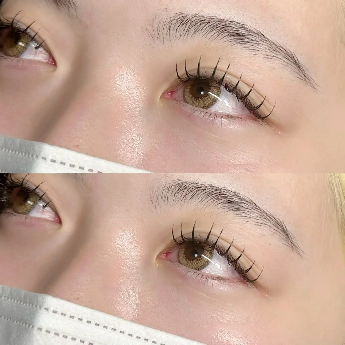 フラットプラス60セット（120本）の写真