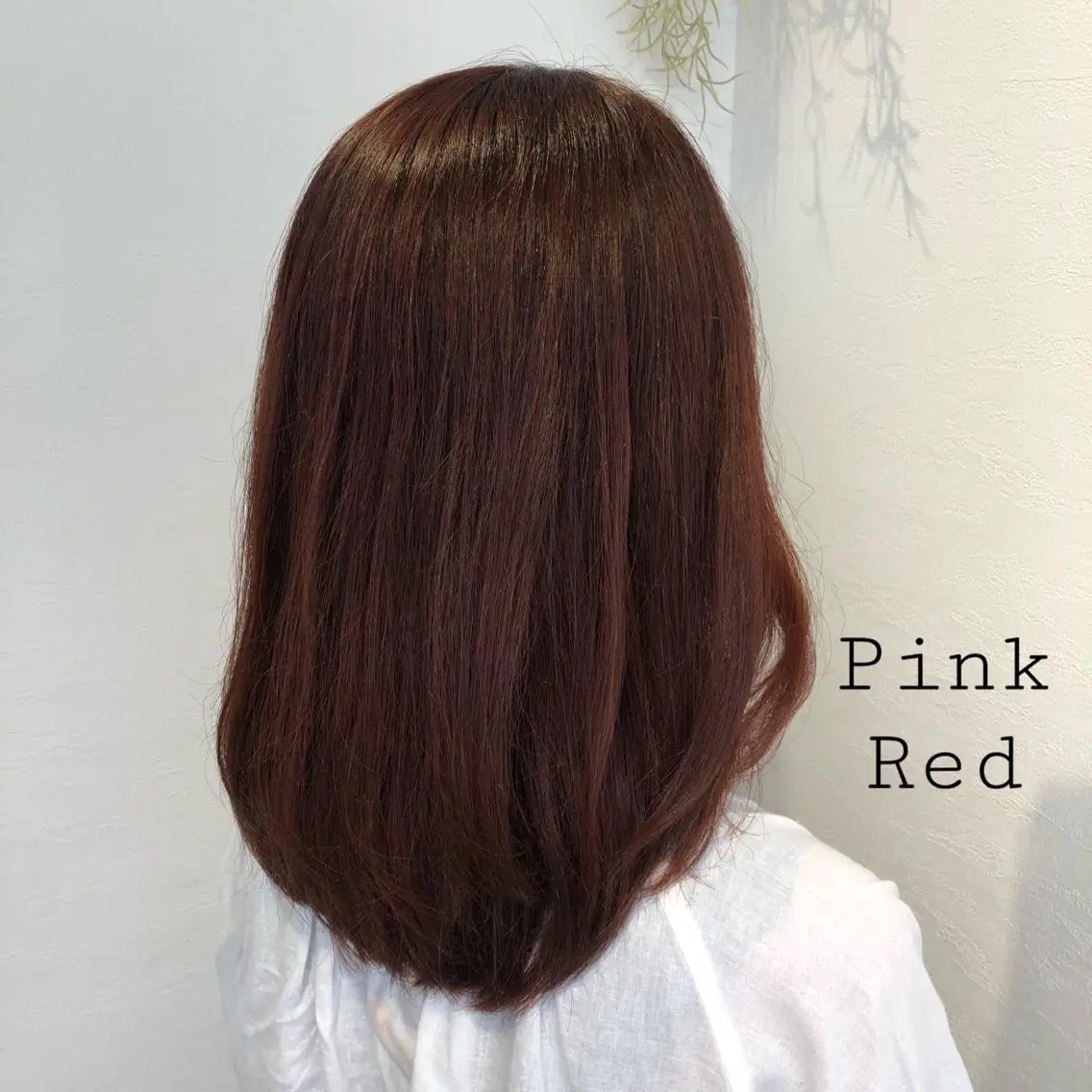 セミロング カラー ブリーチ ブリーチなしカラー ピンクカラー レッドカラー ヘアカラー トリートメント 似合わせカラー✨人気 荻窪🌈川端風子のヘアスタイル