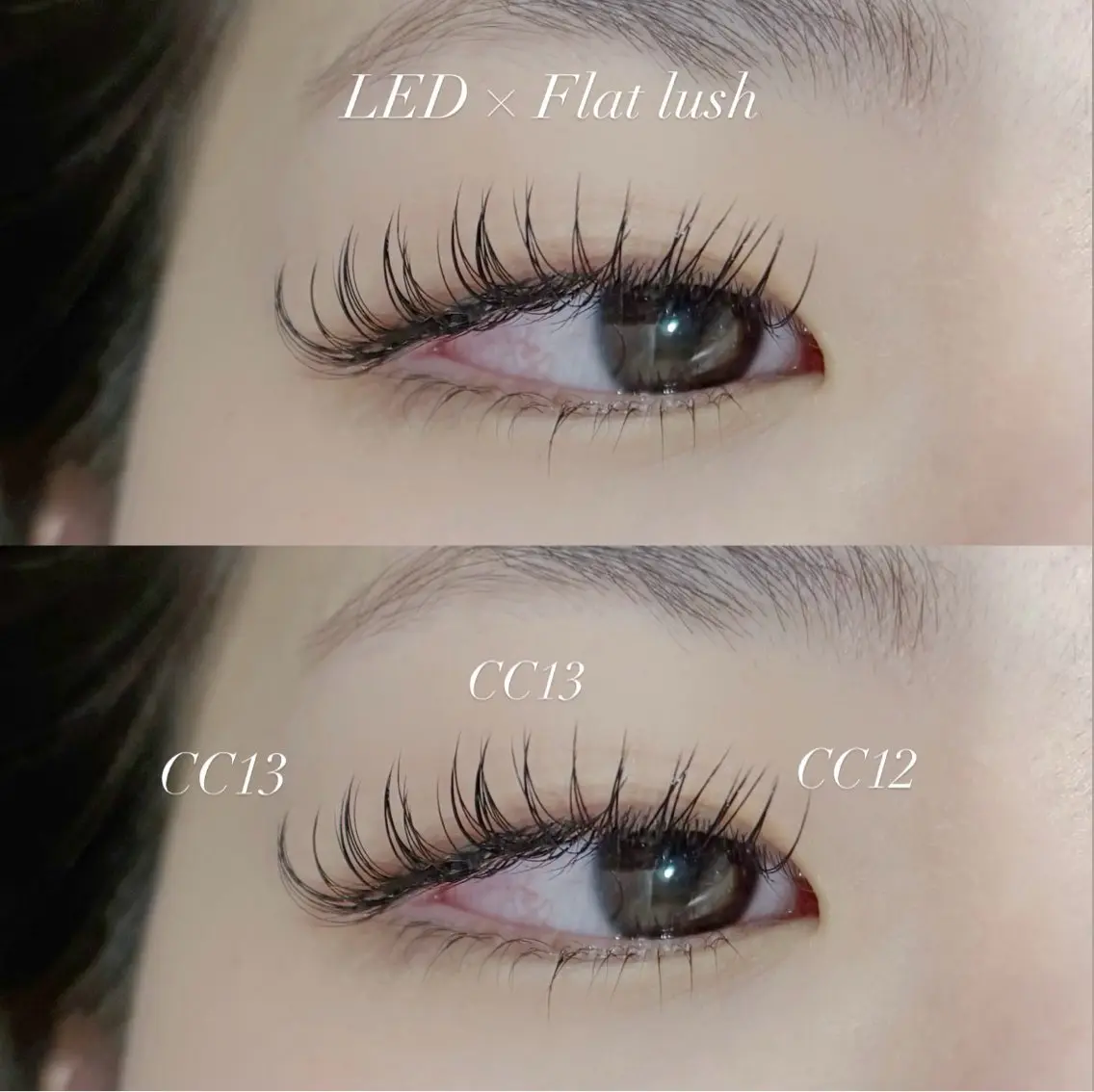 LED✨フラットラッシュ160本の写真