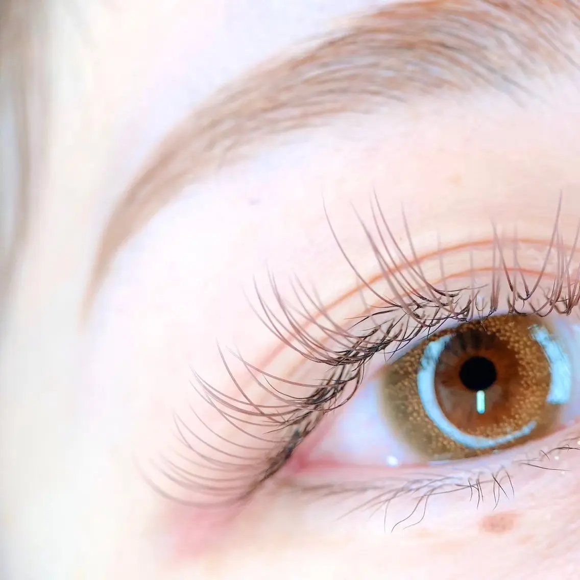 マツエク・マツパ フラットラッシュ AYA 【eyelash】のマツエク・マツパデザイン