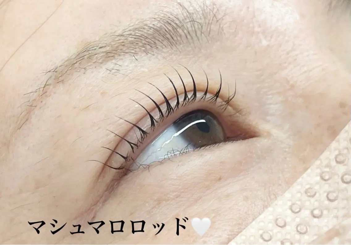 【5月限定】まつ毛パーマ コーティング付き🌟の写真