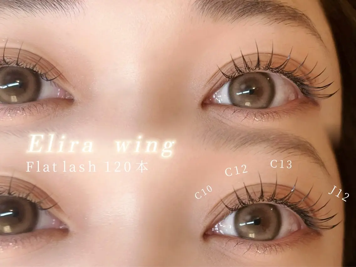 マツエク・マツパ フラットラッシュ Elira wingのマツエク・マツパデザイン