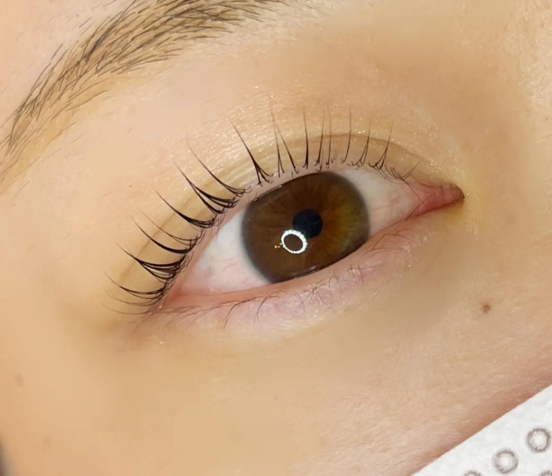 マツエク・マツパ 《eyelash ｉｉｔｅ》森のマツエク・マツパデザイン