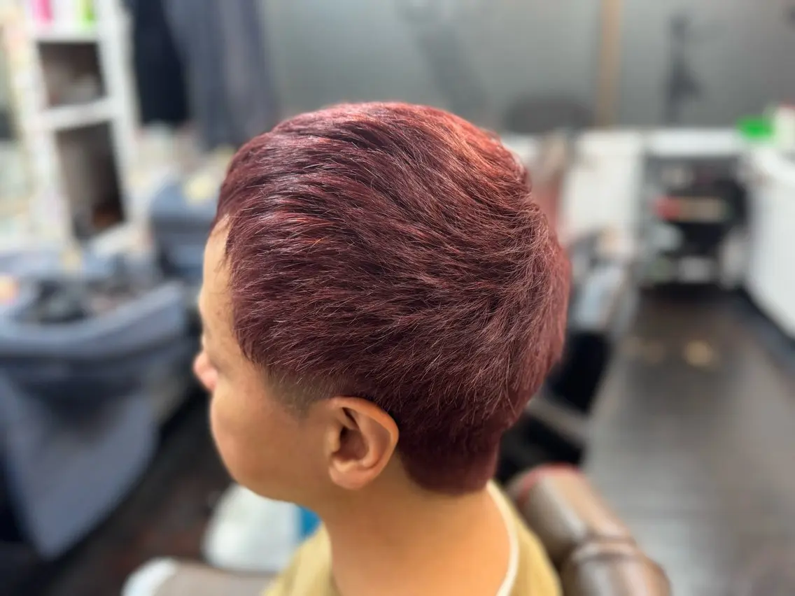ショート カラー メンズ カット ヘアカラー パピプ理容室 三浦海岸のヘアスタイル