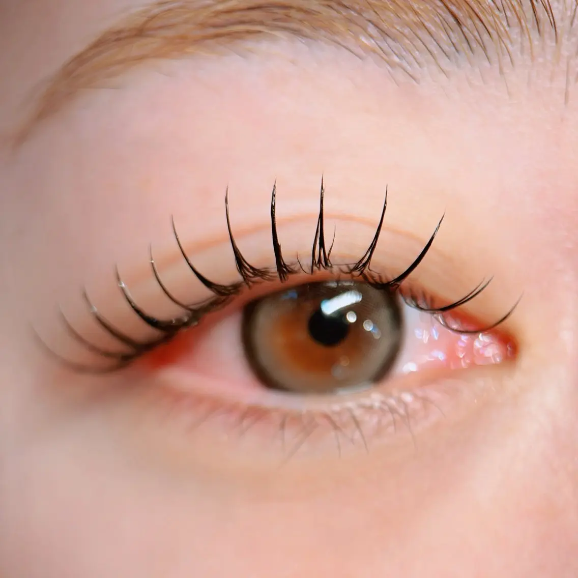 マツエク・マツパ eye salon Dのマツエク・マツパデザイン