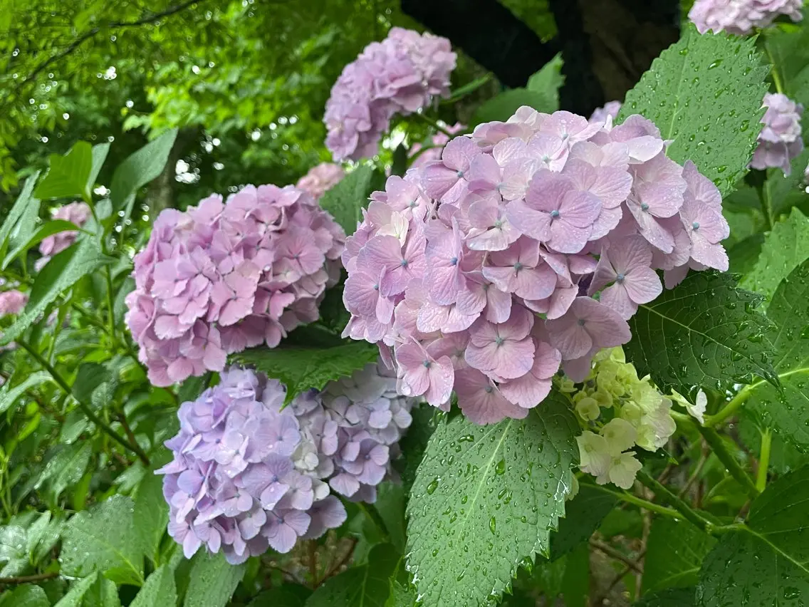 リラク プライベートサロン 花水月のエステ・リラクイメージ
