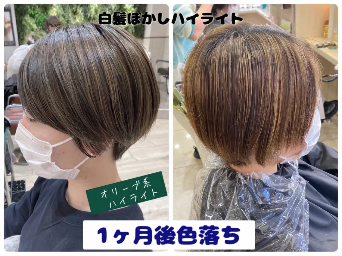 ショート あやかショート 白髪ぼかしのヘアスタイル