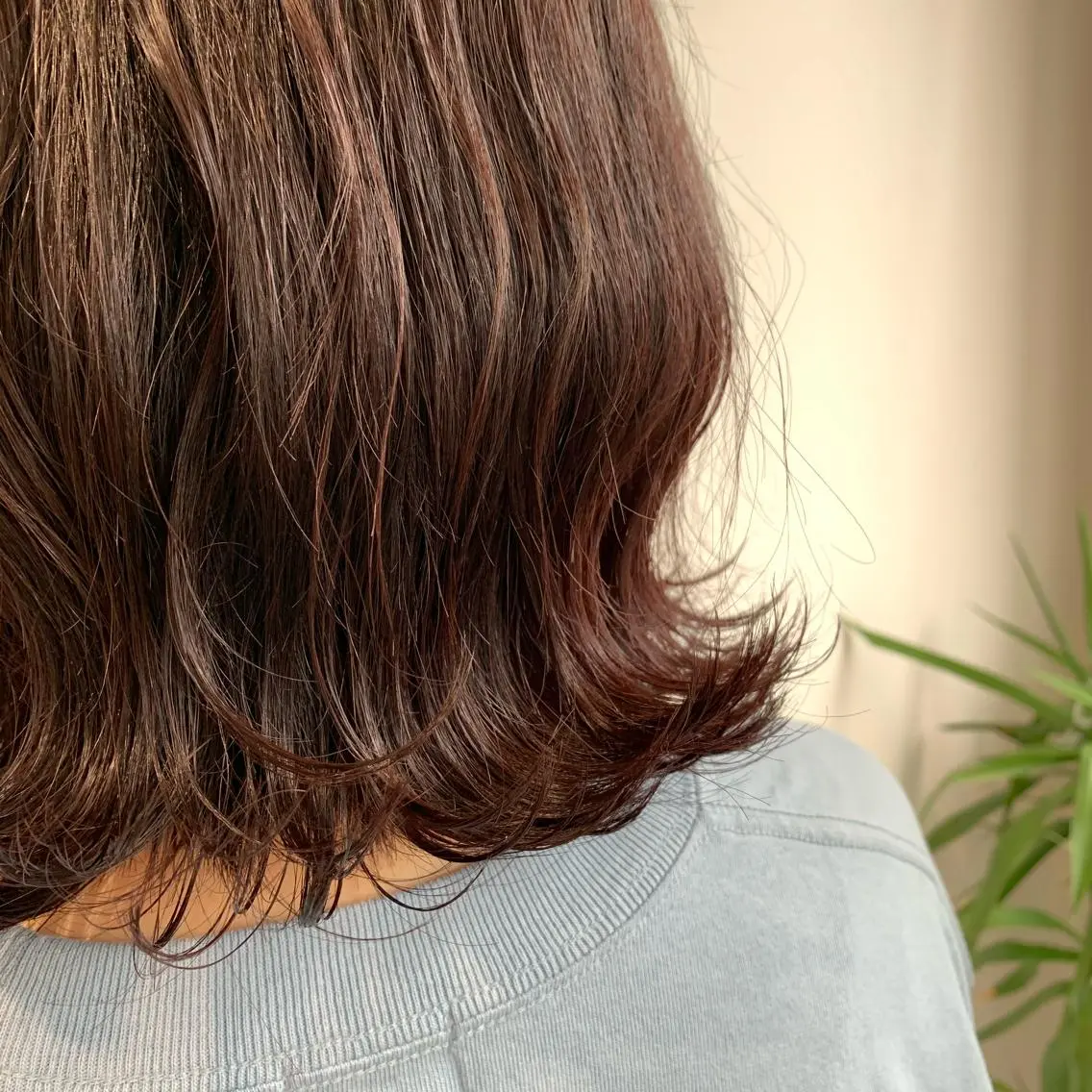 セミロング カラー ブラウンカラー レッドカラー レッドブラウン "小顔カット" Fuko.のヘアスタイル