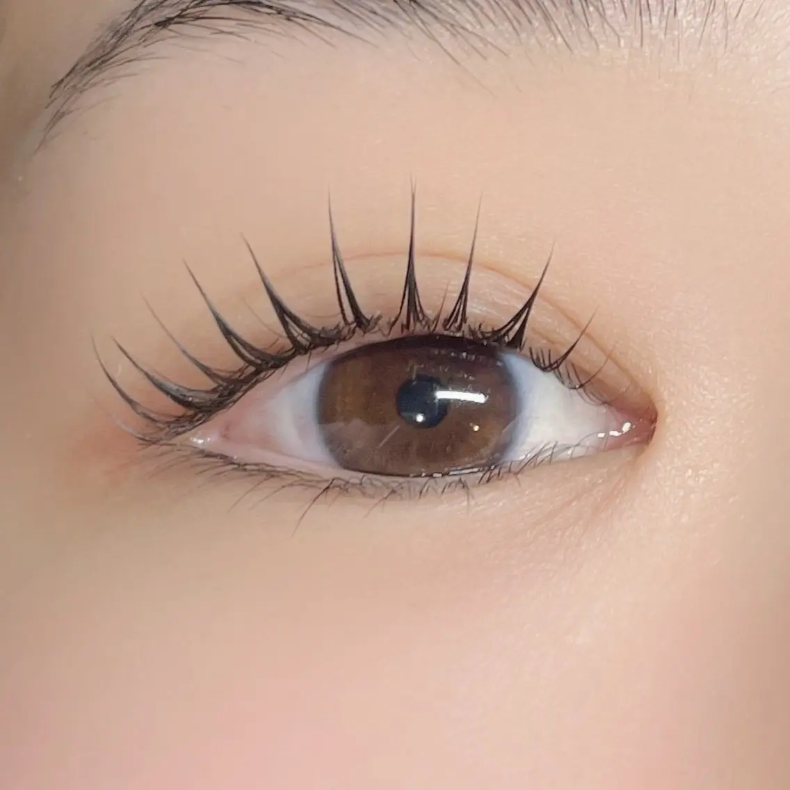 5/15~5/31限定!🎀次世代まつ毛パーマ🎀 2200円✨!の写真