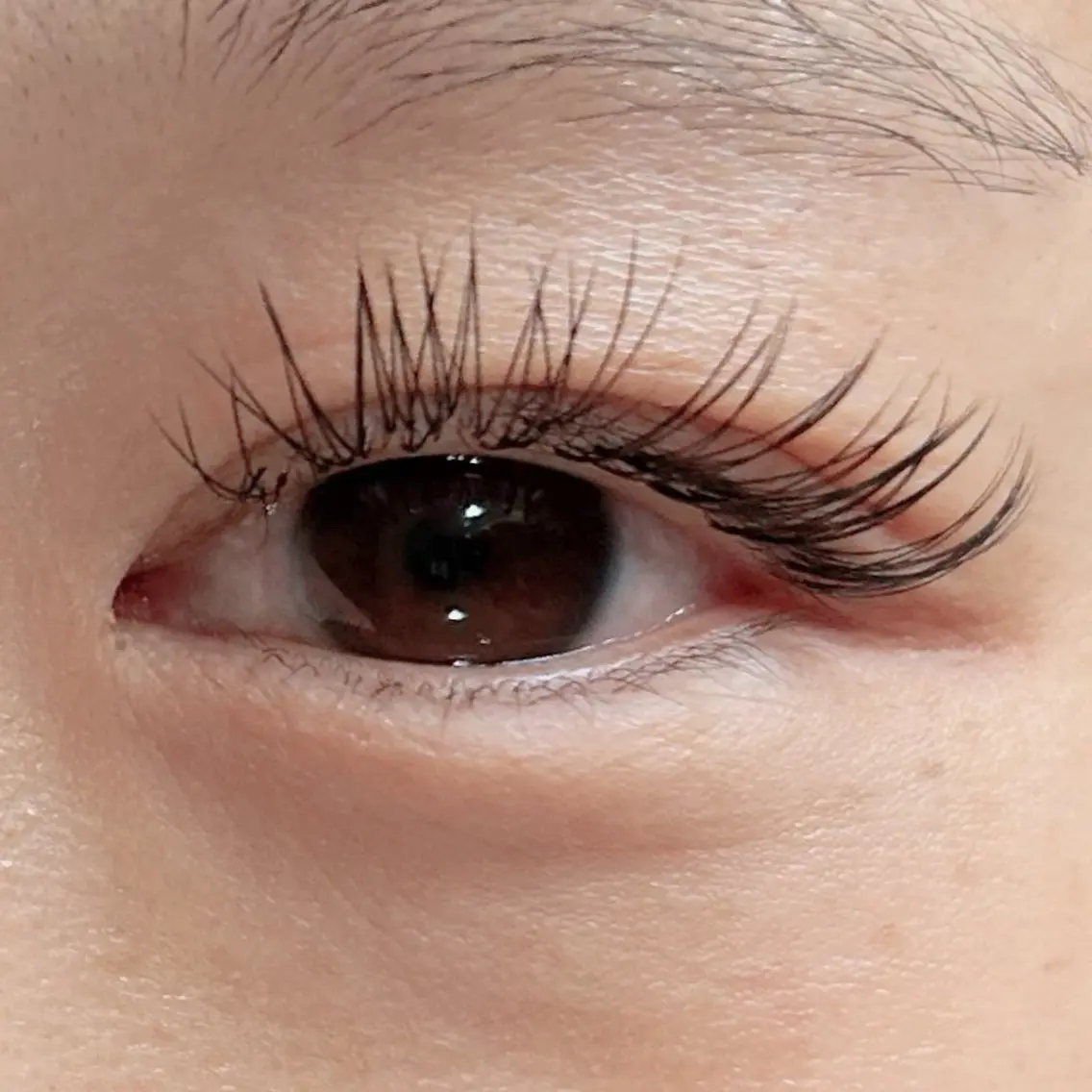 マツエク・マツパ 束感まつ毛 フラットラッシュ soposilma 🧸今季OPENのマツエク・マツパデザイン