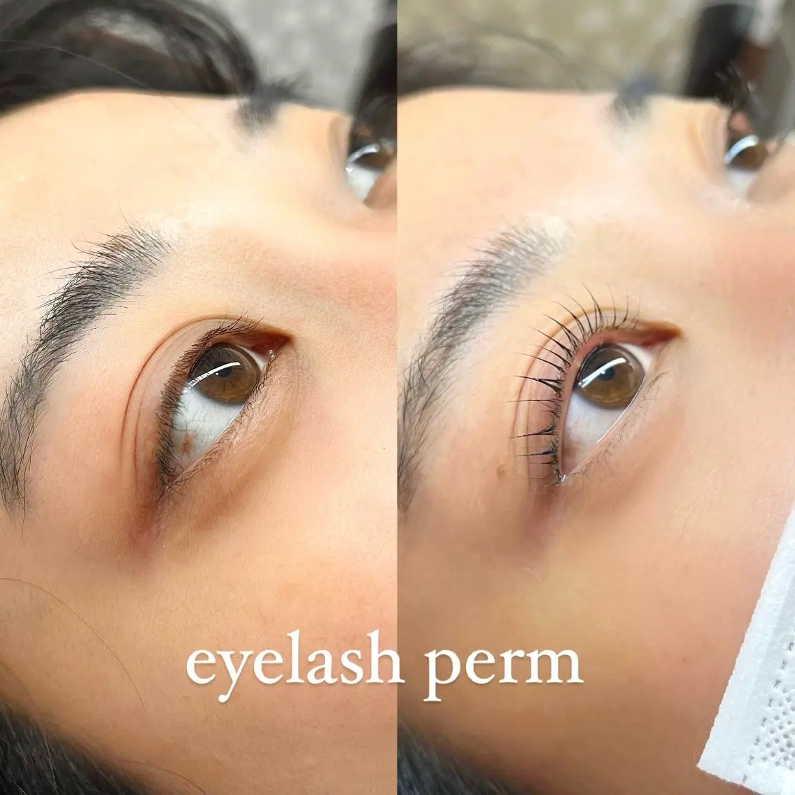 マツエク・マツパ eyelist asumiのマツエク・マツパデザイン