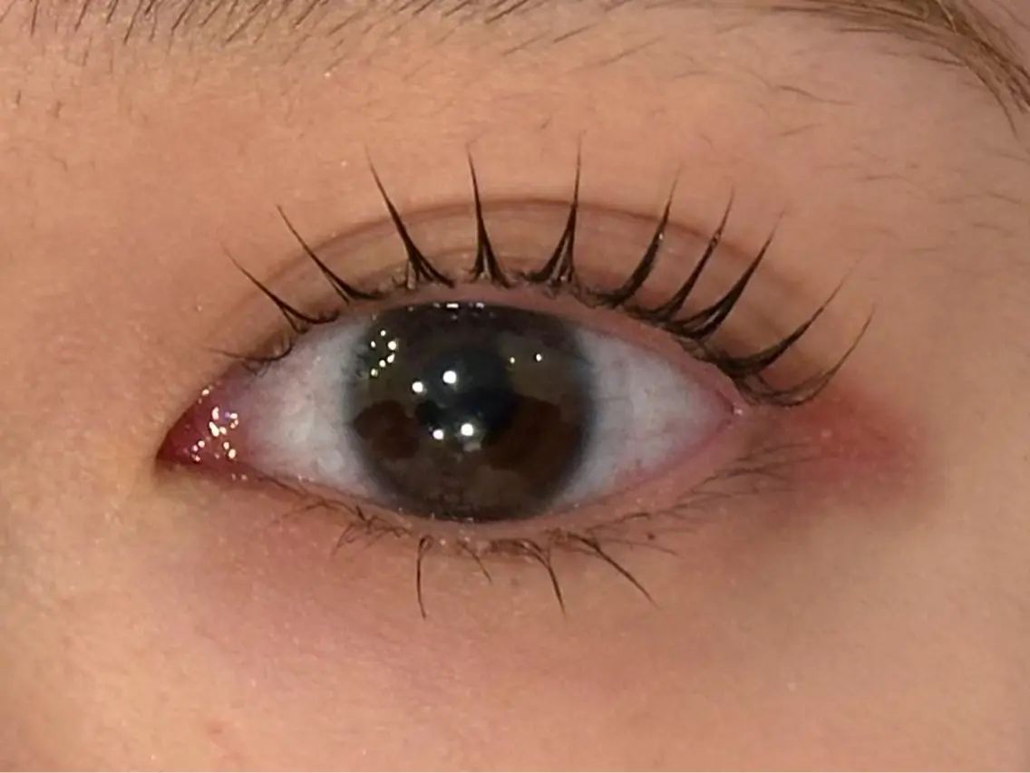 マツエク・マツパ Daisy Lash 土師のマツエク・マツパデザイン