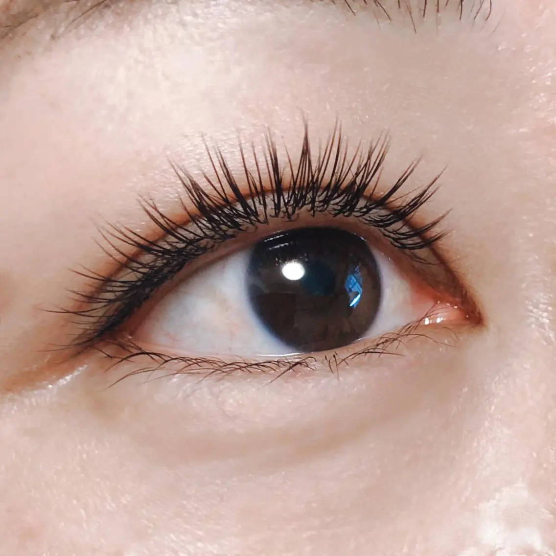 マツエク・マツパ フラットラッシュ eyelash hibiのマツエク・マツパデザイン