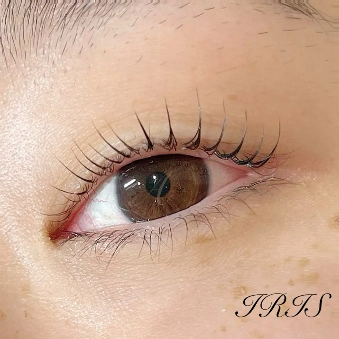 マツエク・マツパ 一重×まつ毛パーマ マツパ IRIS🫧 Ayaのマツエク・マツパデザイン