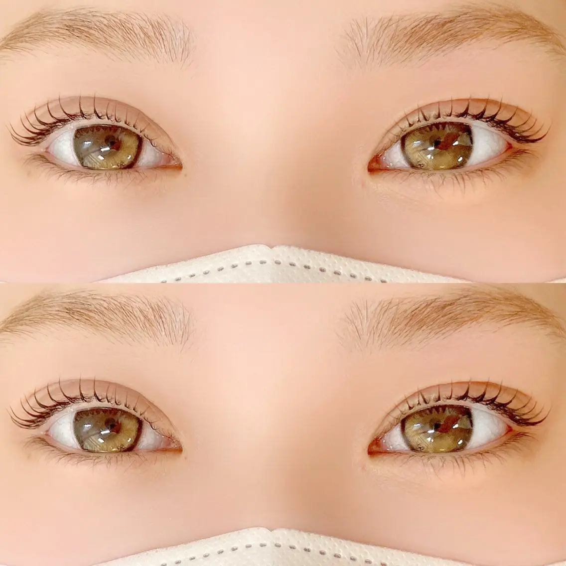 上下まつげパーマ🎀ིྀ/ブラックティント➕300円の写真