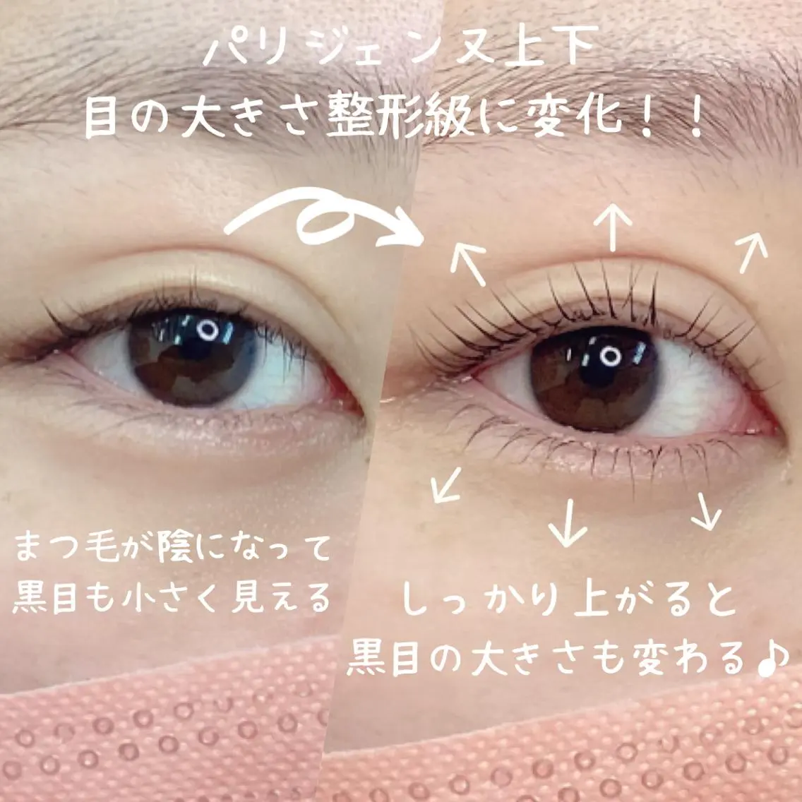 🇫🇷パリジェンヌラッシュリフト上下🇫🇷の写真