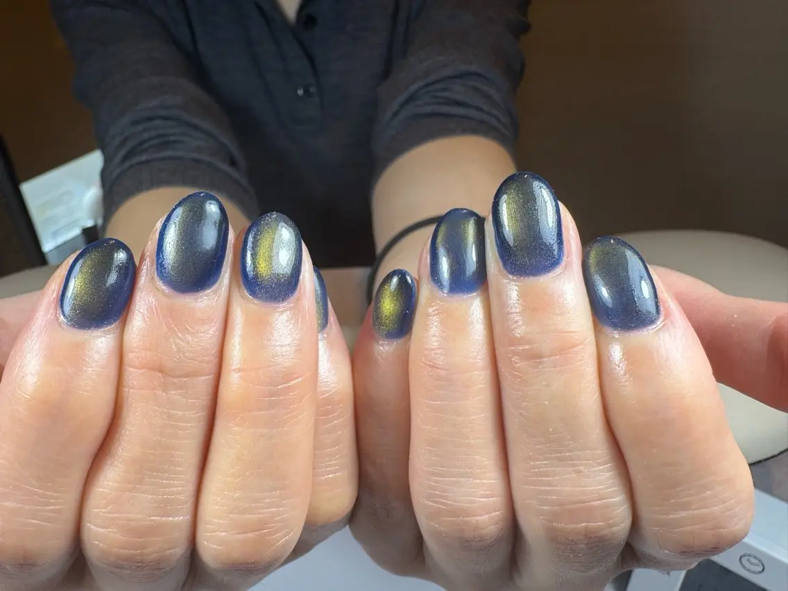 ネイル マグネットネイル ワンカラーネイル Re. nail salonのネイルデザイン