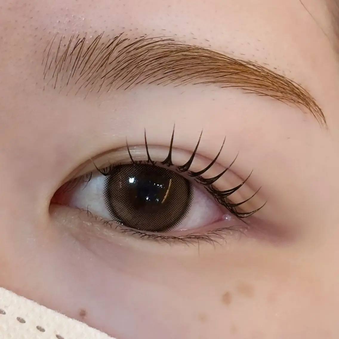 🎀ダブルフラット120本⚠️3ヶ月以内のパーマ履歴❌の写真