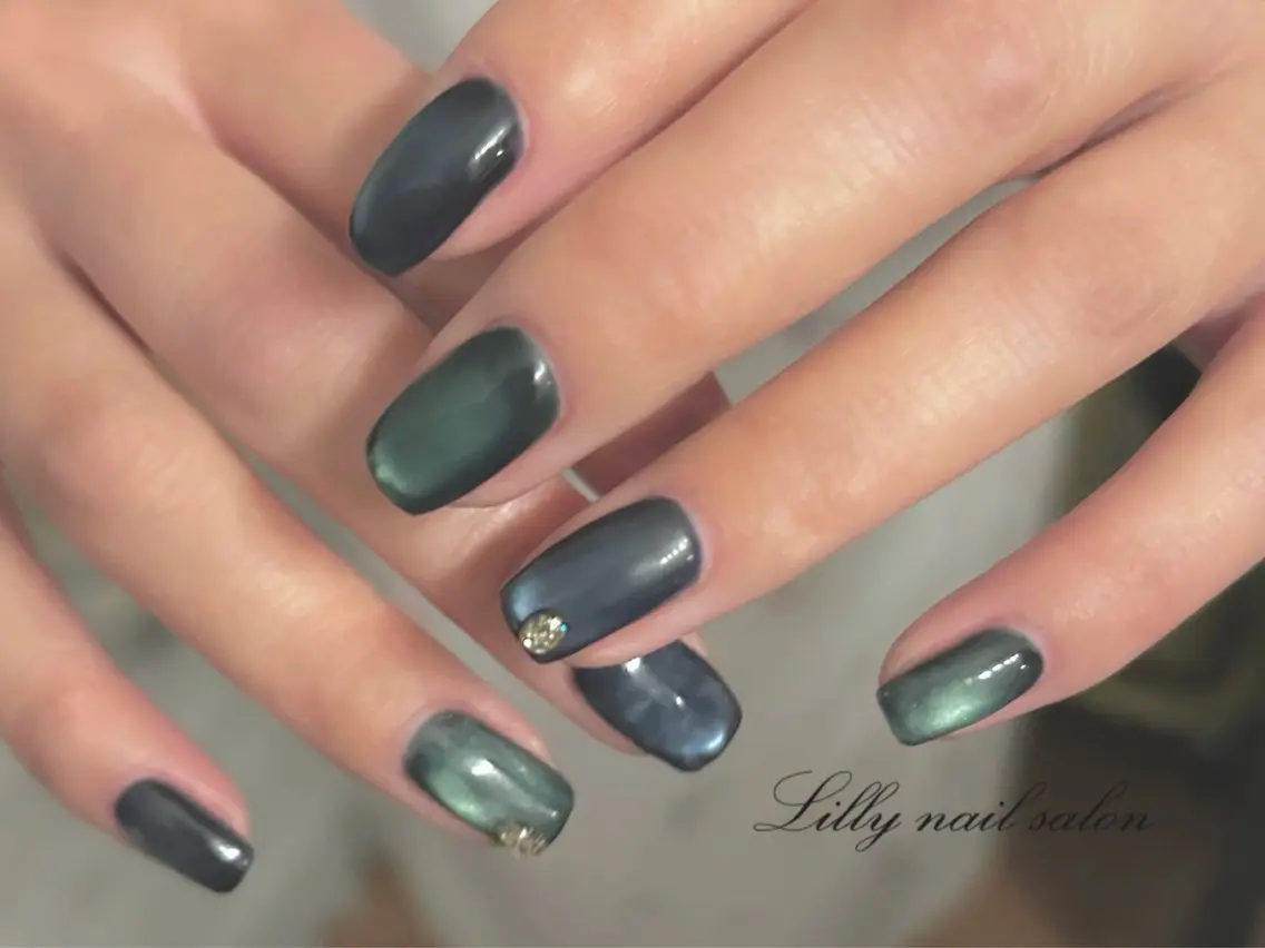 ネイル ジェルネイル マグネットネイル マグネットワンカラー ワンカラーネイル パラジェル Lilly nail オーナーMikuのネイルデザイン