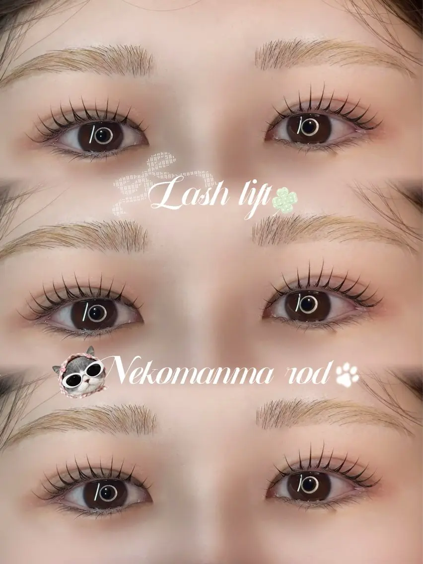 練習モデル🎀まつげパーマ(お目元撮影可能な方限定📷✨)の写真