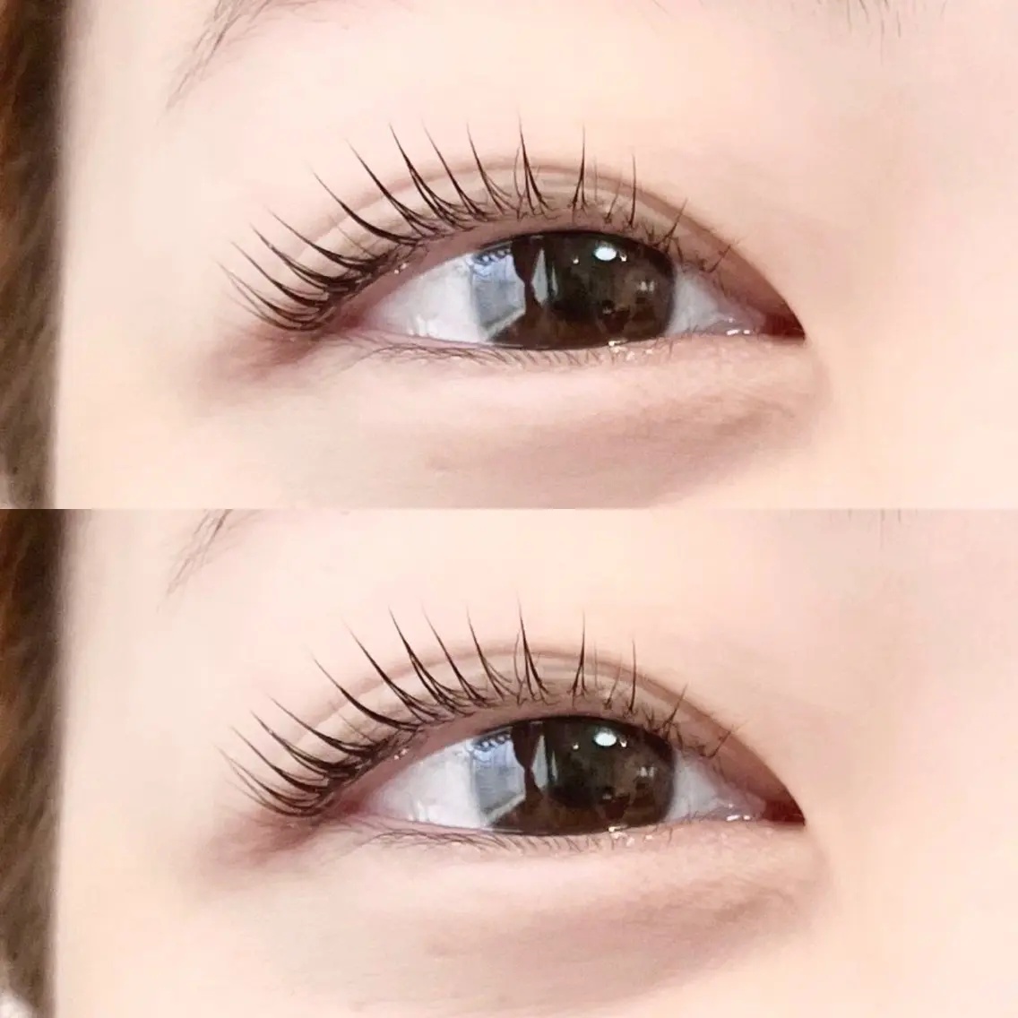 〖ご新規様限定〗ラッシュリフト👀💕すっぴん美人に🦋✨の写真