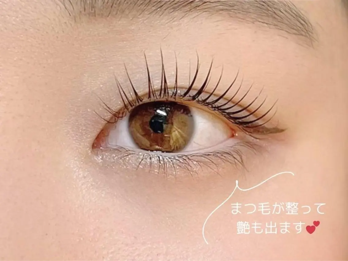 🤍上下まつ毛パーマ🤍の写真