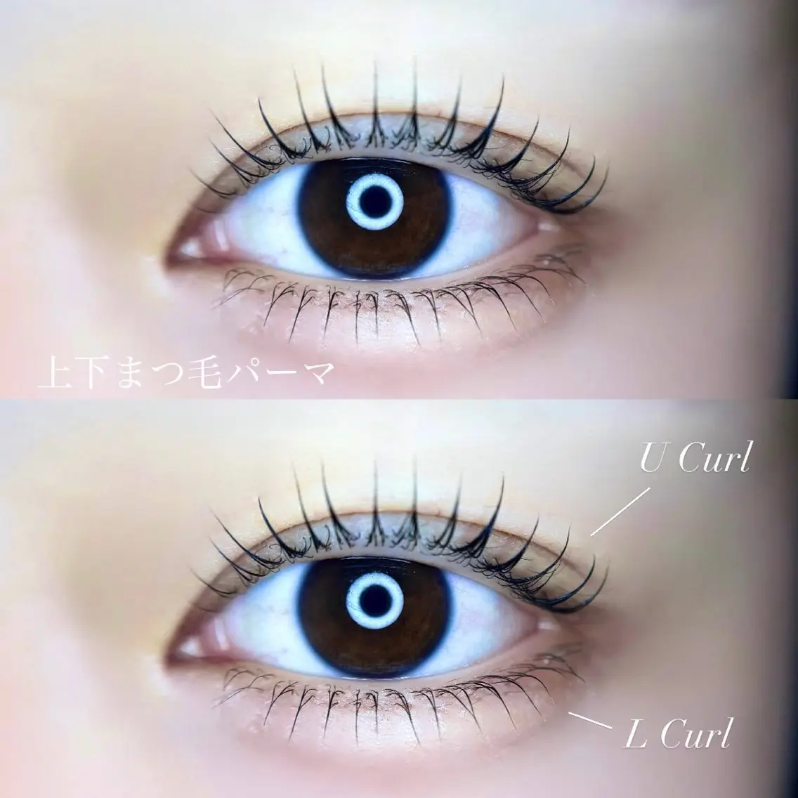 マツエク・マツパ 下まつげエクステ 一重×まつ毛パーマ マツパ Carat ヒマワリのマツエク・マツパデザイン