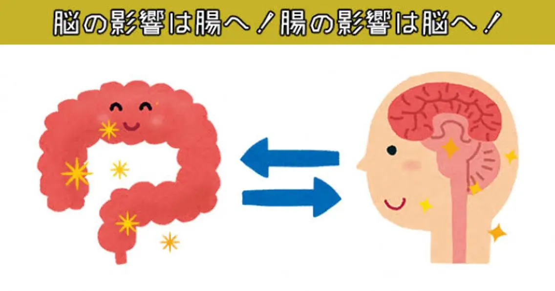 lucy 腸活エステ ジムkanaeのエステ・リラクイメージ