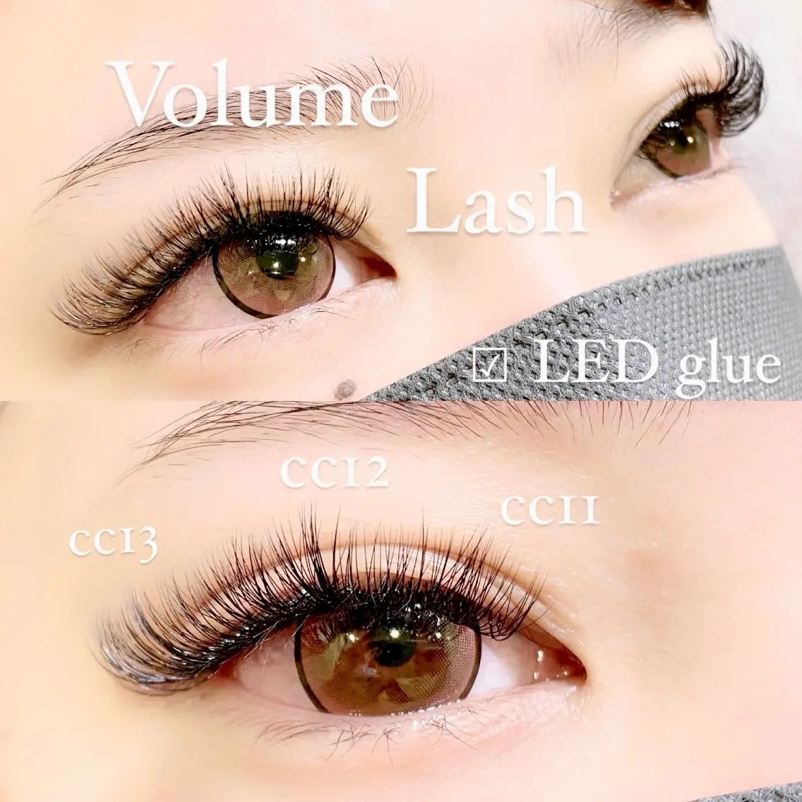 🎀平日予約限定価格🎀LEDグルー×ボリュームラッシュ ♡ 90分(400​〜​500本目安)¥9800の写真